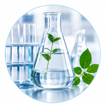 Green Chemistry Process