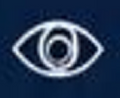 VISION